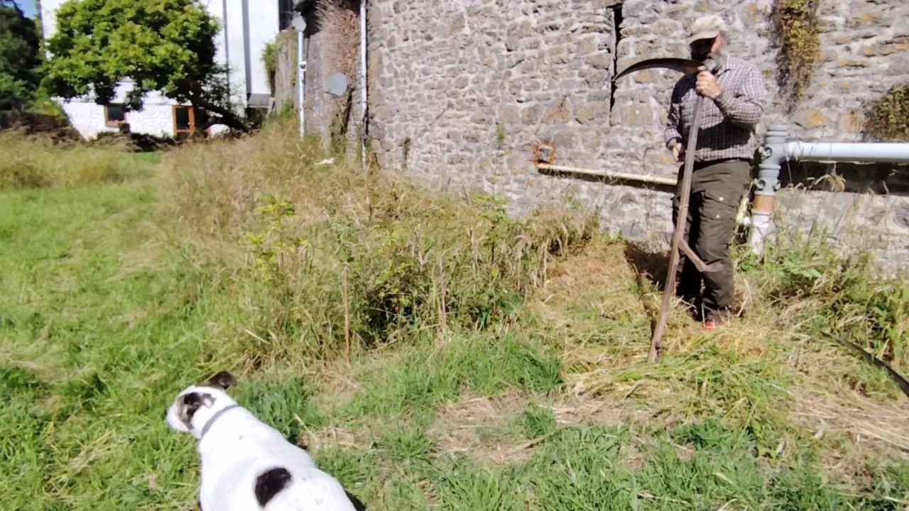 Scything Timelapse