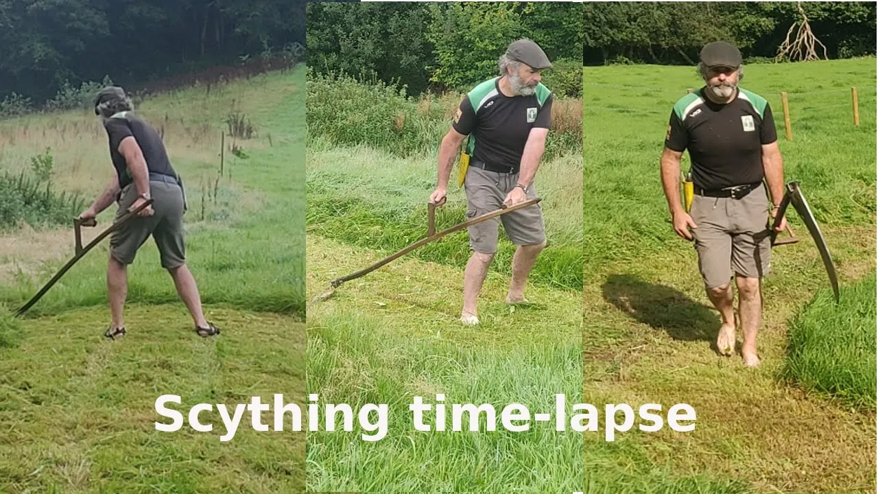 Scything a Woodland Plantation Path